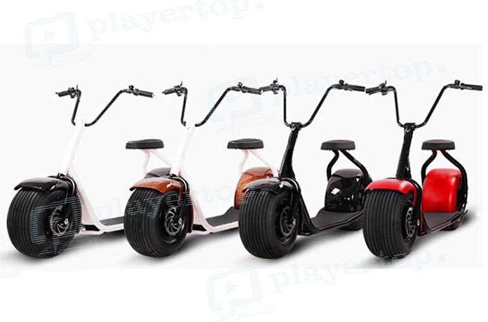 scooter électrique adulte